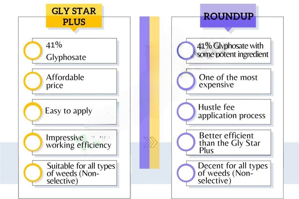 An Overview of Gly Star Plus and Roundup