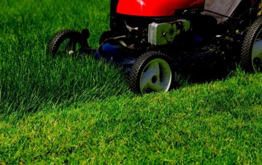 Mowing Yard