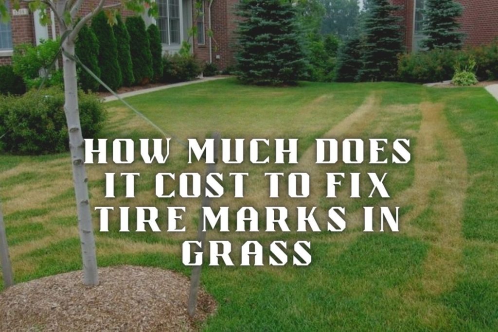 How Much Does It Cost to Fix Tire Marks in Grass All Expenses Revealed