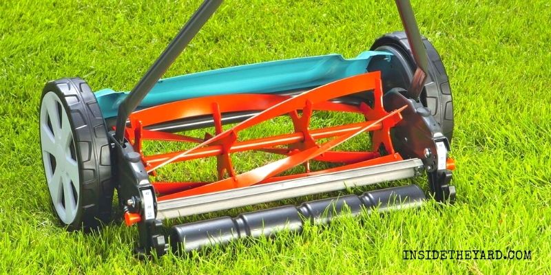 Can You Mow Wet Grass with a Reel Mower