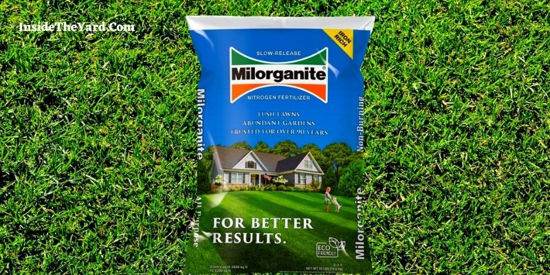 Does Milorganite Kill Weeds