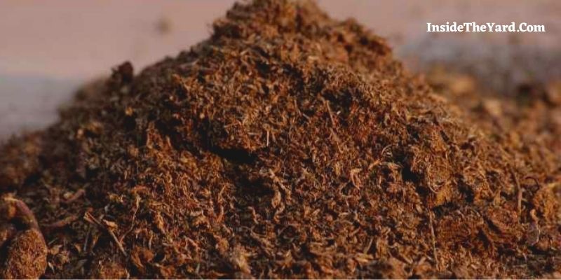 How Much Does Peat Moss Cost