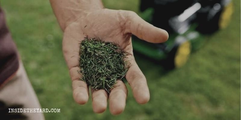 How To Keep Grass Out Of Mulch When Mowing