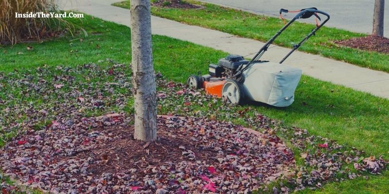 How to Keep Leaves from Blowing out from Mower Deck