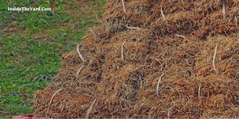 How to Remove Dead Grass After Roundup