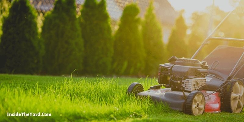 How to Start A Lawn Care Business in Michigan