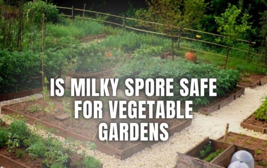 milky spore is safe for gardens?
