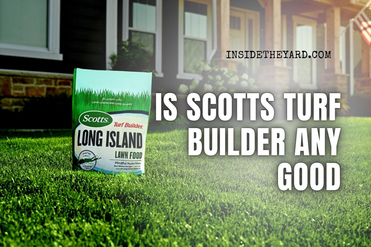 is-scotts-turf-builder-reliable-unknown-facts-you-should-know