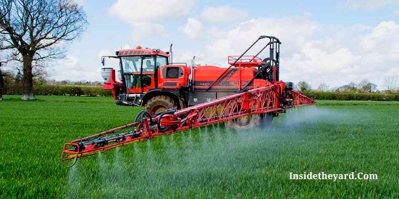 Time Of Spraying Fungicide In Hot Weather