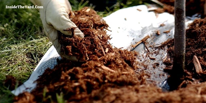 What to Charge Per Hour to Spread Mulch