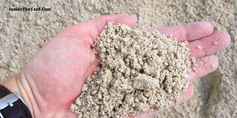 What Type of Sand for Lawns