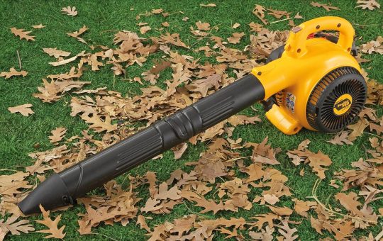 Poulan Pro Leaf Blower