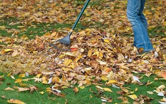 Poulan Pro Leaf Blower