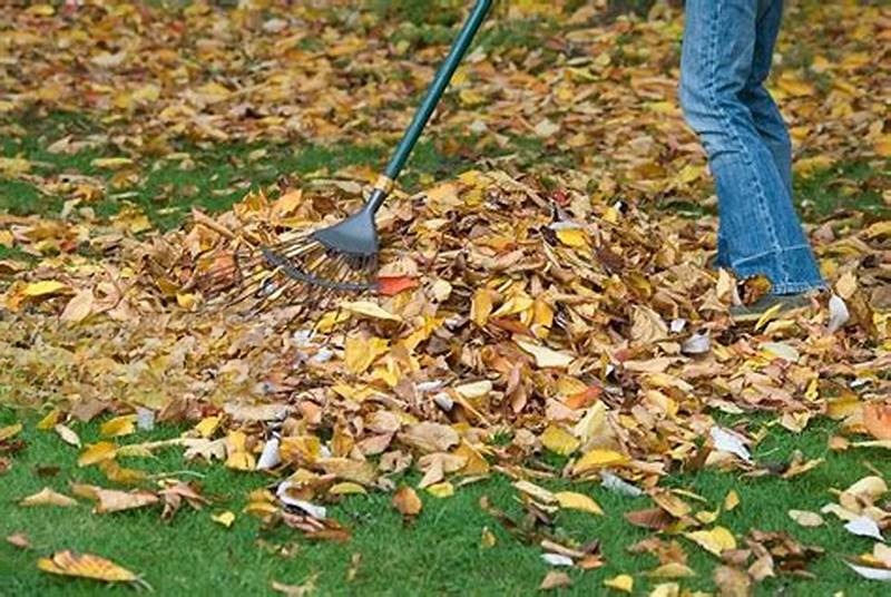 Top 14 Causes Your Poulan Pro Leaf Blower Won't Turn On - Outdoorstip