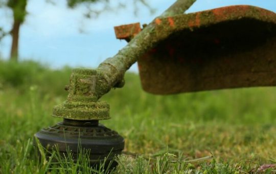 String Strimmer