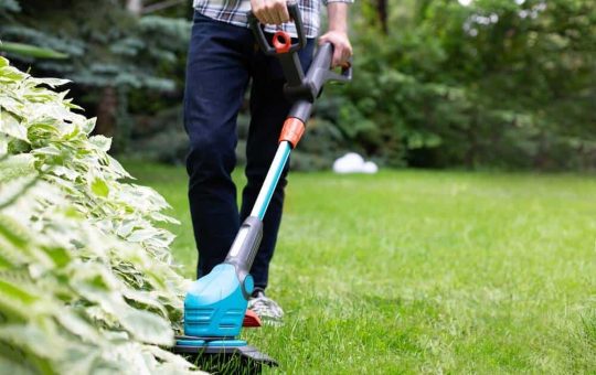 outdoorstip Lawn Edger