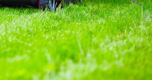 Uneven or Poorly-Cut Grass with Sun Joe Electric Mower (9 CAUSES)